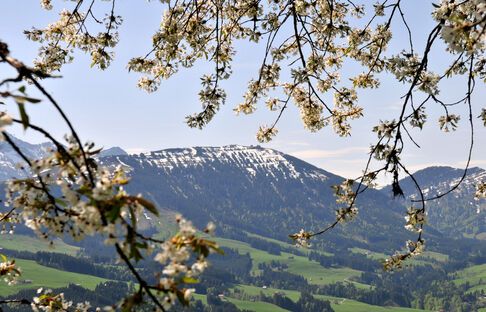 OFFA 2017 - Den Kronberg mit dem kleinen Prinz entdecken