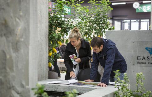 OFFA 2017 - Brunnengeplätscher in einer grünen, die Sinne betörenden Wohlfühlwelt