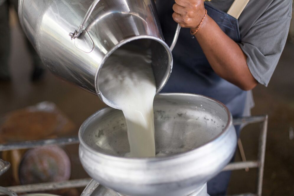 OLMA 2018 Sonderschauen Milch ist Mehrwert