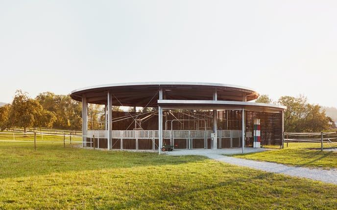 OFFA - Pferdeklinik Thurland - Longier