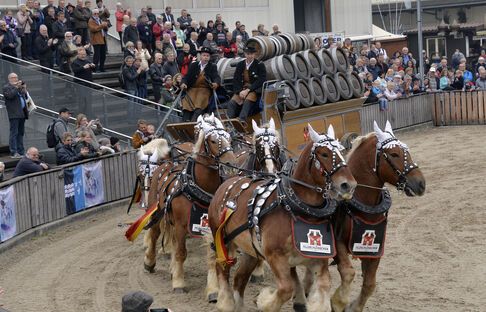 olma st.gallen besucher feldschlösschen
