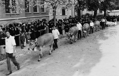 OLMA Tiervorführung 1943