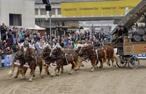 olma st.gallen besucher programm brauerei pferde feldschlösschen