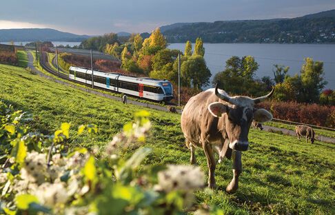 Rind Thurgau