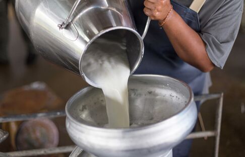 OLMA 2018 Sonderschauen Milch ist Mehrwert