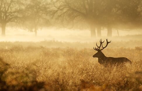 OLMA 2018 Tag der Jagd