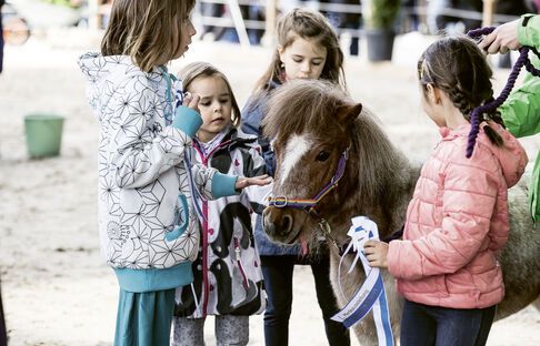 OFFA 2019 - Ponyplausch