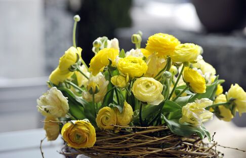 OFFA 2019 – Blumen