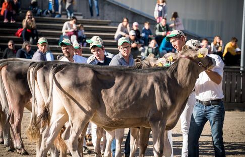 olma 21 tierausstellung