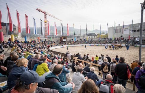 Arena-Programm