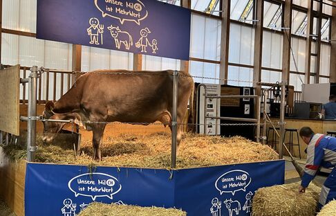 Mehrwert Milch
