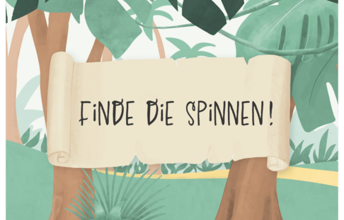 Finde die Spinnen!