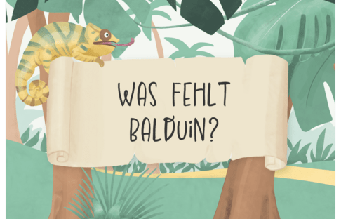 Was fehlt Balduin?