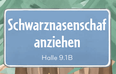 Schwarznasenschaf anziehen OLMA 2025