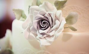 Fest- und Hochzeitsmesse - Hochzeitstorte