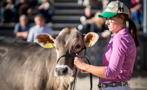 OLMA 2018 - Impressionen