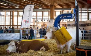 OLMA 2018 - Impressionen