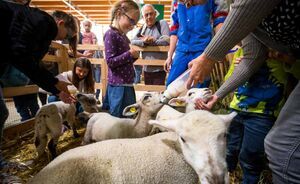 OLMA 2018 - Impressionen