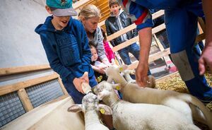 OLMA 2018 - Impressionen
