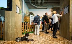 OBA 2018 - Impressionen