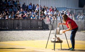 OLMA 2018 - Impressionen
