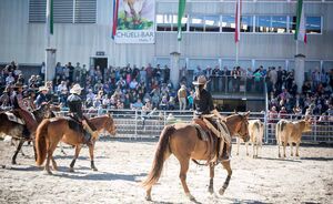 OLMA 2018 - Impressionen