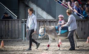 OLMA 2018 - Impressionen