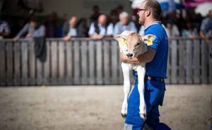 OLMA 2018 - Impressionen