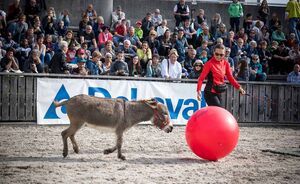OLMA 2018 - Impressionen
