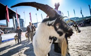 OBA 2018 - Impressionen