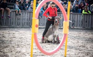 OLMA 2018 - Impressionen