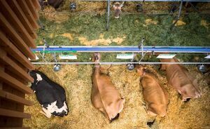 OLMA 2018 - Impressionen