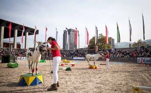 OLMA 2018 - Impressionen