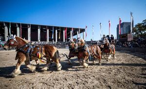 OLMA 2018 - Impressionen