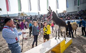 OLMA 2018 - Impressionen