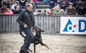 OLMA 2018 - Impressionen