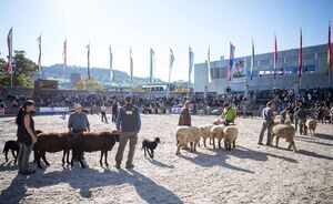 OBA 2018 - Impressionen