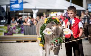 OLMA 2018 - Impressionen