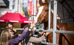 OLMA 2018 - Impressionen