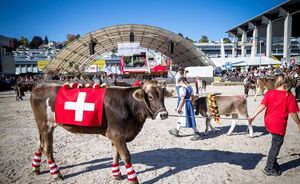 OLMA 2018 - Impressionen