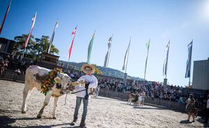 OLMA 2018 - Impressionen