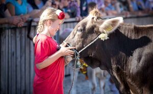 OLMA 2018 - Impressionen
