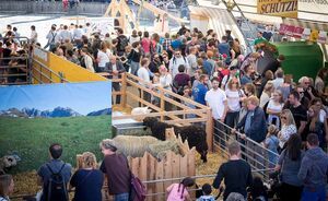 OLMA 2018 - Impressionen