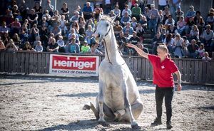 OBA 2018 - Impressionen