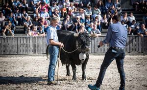 OLMA 2018 - Impressionen