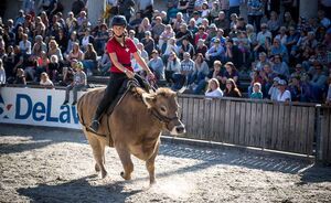 OLMA 2018 - Impressionen