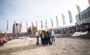 OLMA 2018 - Impressionen