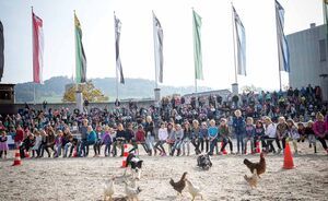 OLMA 2018 - Impressionen