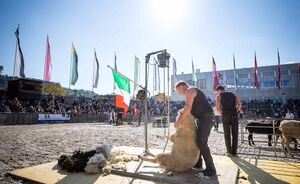 OBA 2018 - Impressionen