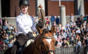 OLMA 2018 - Impressionen